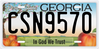 GA license plate CSN9570