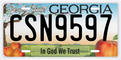 GA license plate CSN9597