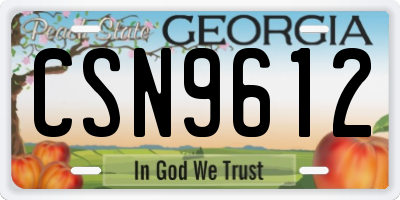 GA license plate CSN9612