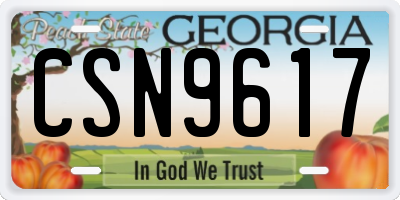 GA license plate CSN9617