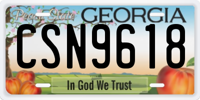 GA license plate CSN9618