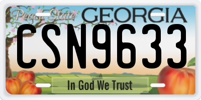 GA license plate CSN9633
