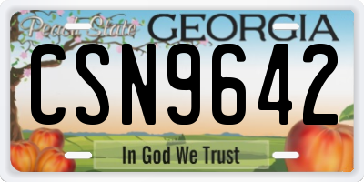 GA license plate CSN9642