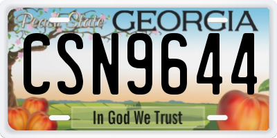 GA license plate CSN9644
