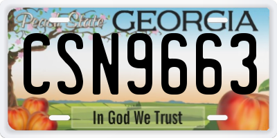 GA license plate CSN9663