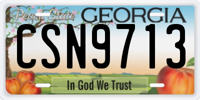 GA license plate CSN9713