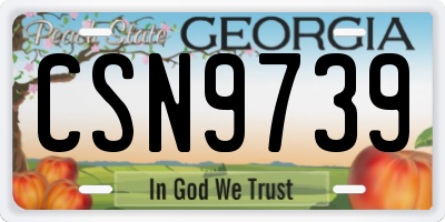GA license plate CSN9739