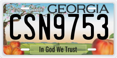GA license plate CSN9753