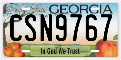 GA license plate CSN9767