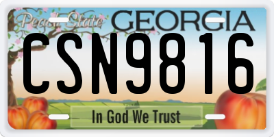 GA license plate CSN9816