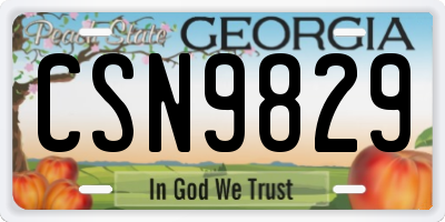 GA license plate CSN9829
