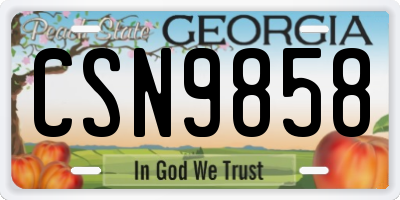 GA license plate CSN9858