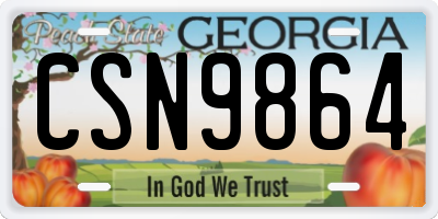 GA license plate CSN9864