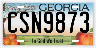 GA license plate CSN9873