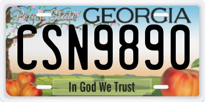 GA license plate CSN9890