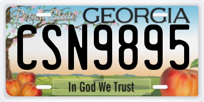 GA license plate CSN9895