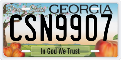 GA license plate CSN9907