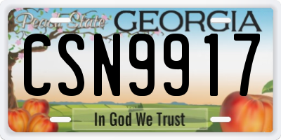 GA license plate CSN9917