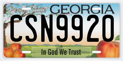 GA license plate CSN9920