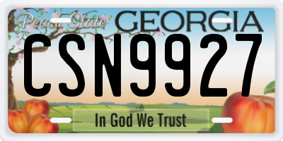 GA license plate CSN9927