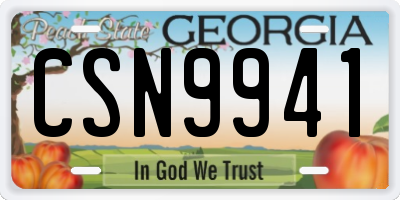 GA license plate CSN9941