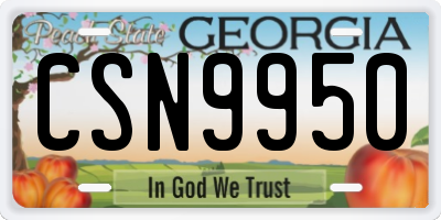 GA license plate CSN9950