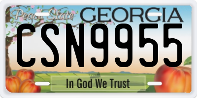 GA license plate CSN9955