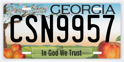 GA license plate CSN9957
