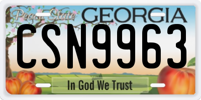 GA license plate CSN9963