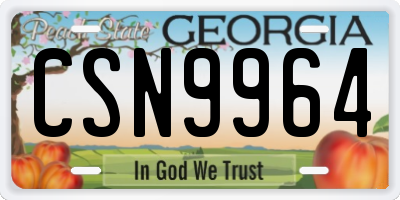 GA license plate CSN9964