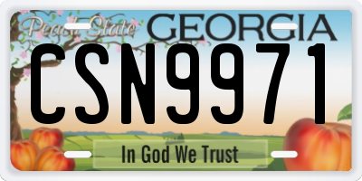GA license plate CSN9971