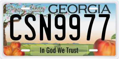 GA license plate CSN9977