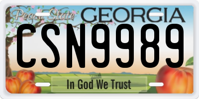 GA license plate CSN9989