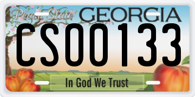 GA license plate CSO0133