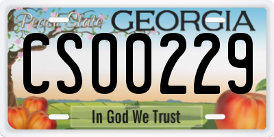 GA license plate CSO0229