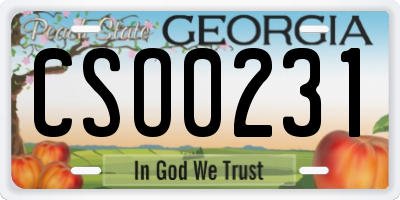 GA license plate CSO0231