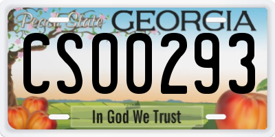 GA license plate CSO0293