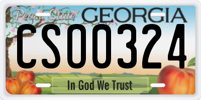 GA license plate CSO0324