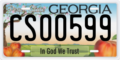 GA license plate CSO0599