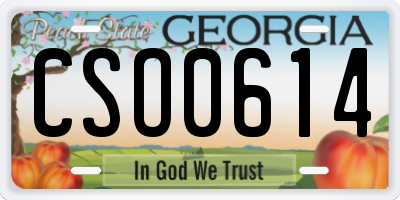GA license plate CSO0614