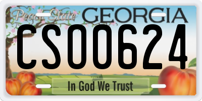 GA license plate CSO0624