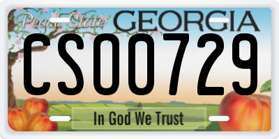 GA license plate CSO0729