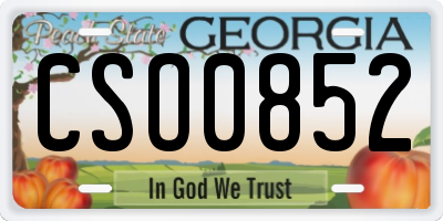 GA license plate CSO0852