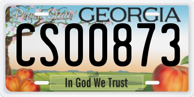 GA license plate CSO0873