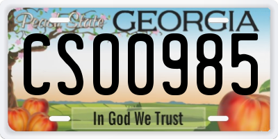 GA license plate CSO0985