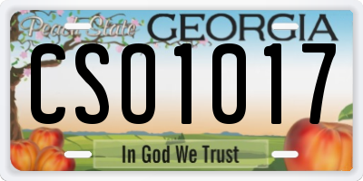 GA license plate CSO1017
