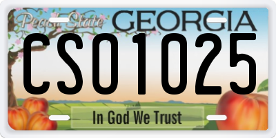 GA license plate CSO1025