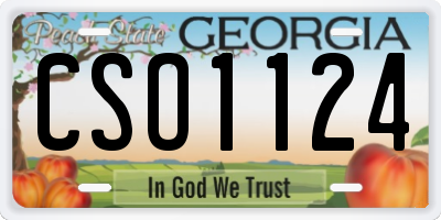 GA license plate CSO1124