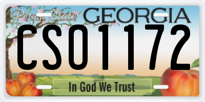 GA license plate CSO1172