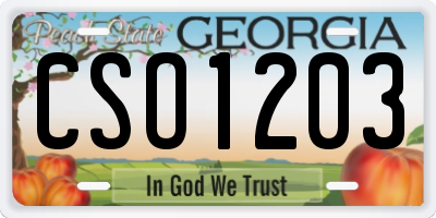 GA license plate CSO1203